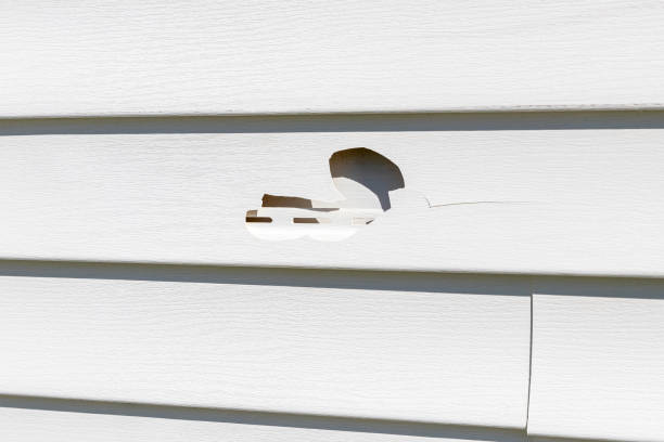 How To Choose The Right Materials for Your Siding Installation in 'Newton, MS